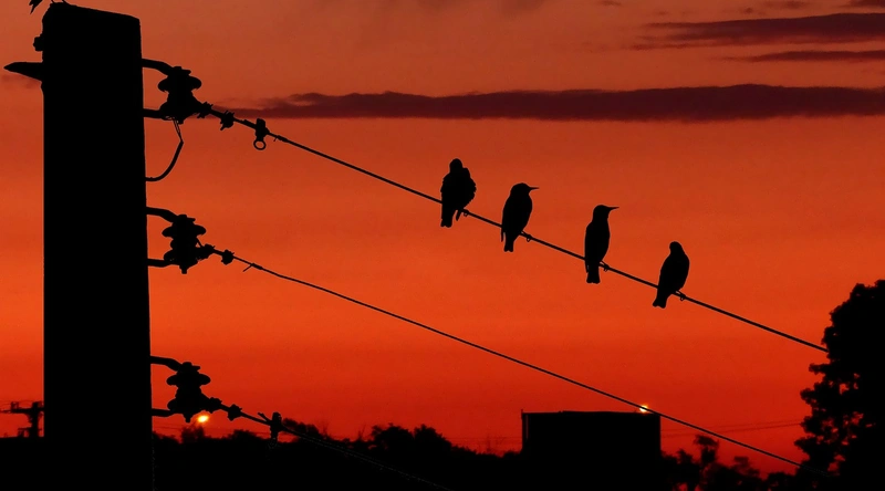 케이블 유형 개요