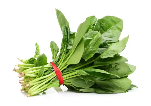 저혈압에 좋은 음식 피해야 할 나쁜 음식