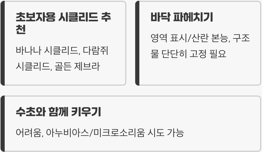 시클리드 키우기 A to Z (어항, 먹이, 수질 관리)