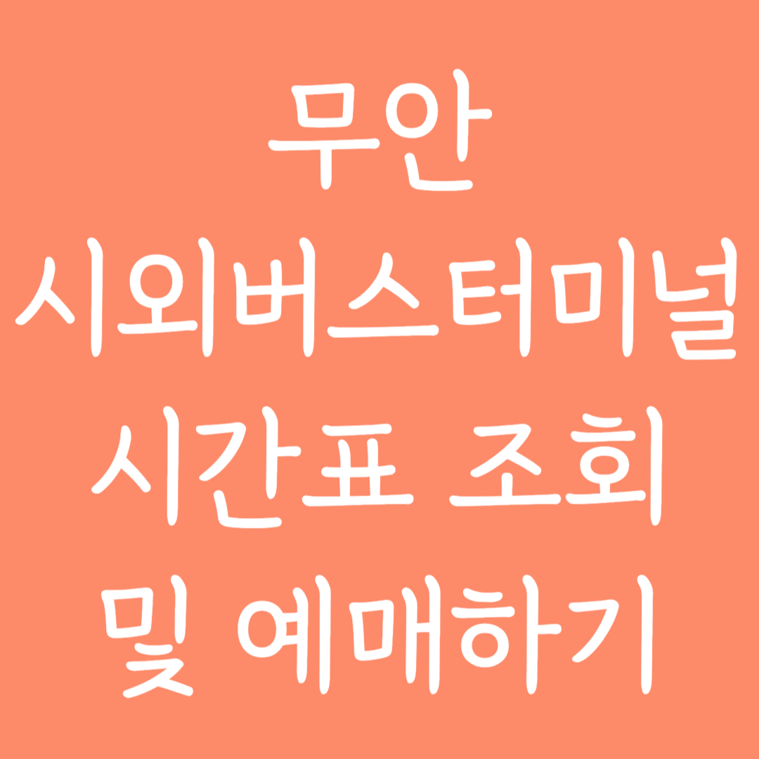 무안 시외버스터미널 시간표 조회 및 예매하기