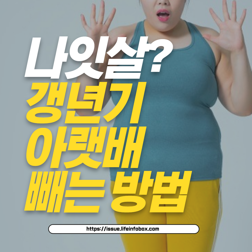 중년과 갱년기의 배 지방을 효과적으로 줄이는 방법