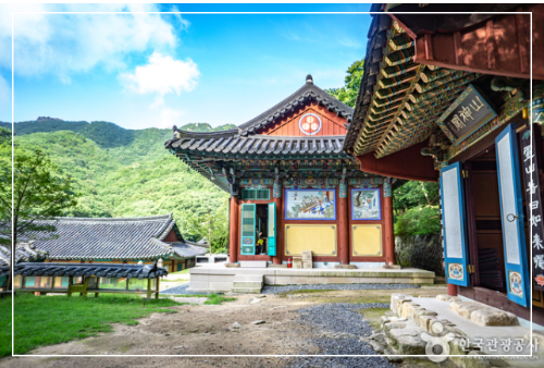 템플 스테이 추천