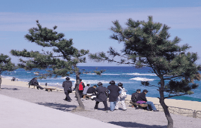 가을 바다 열차 여행 추천