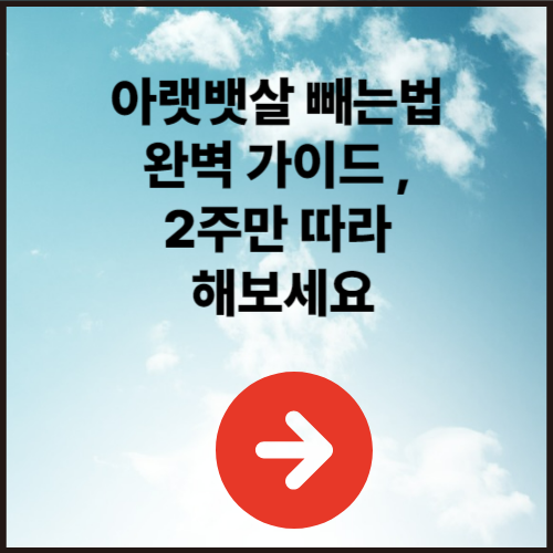 아랫뱃살 빼는법 완벽 가이드 , 2주만 따라 해보세요