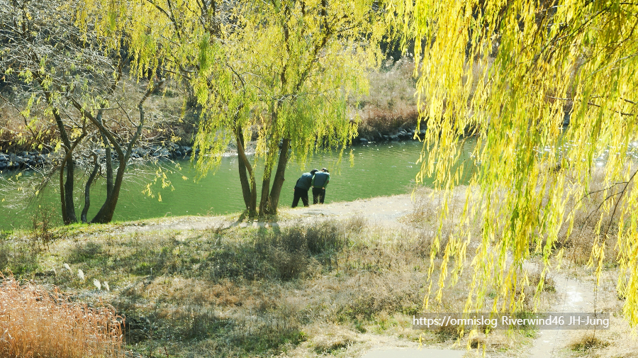 솔밭사이로 강물은 흐르고 The River in the Pines