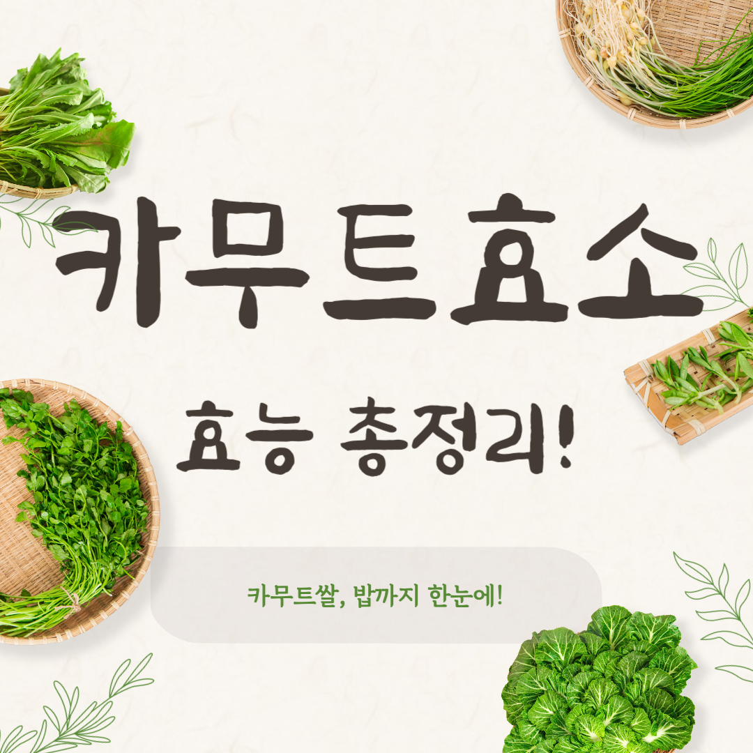 카무트효소 효능 총정리|카무트쌀·밥까지 한눈에!