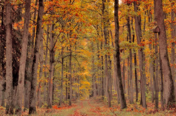 청와대 국민청원홈페이지 지금 확인 17