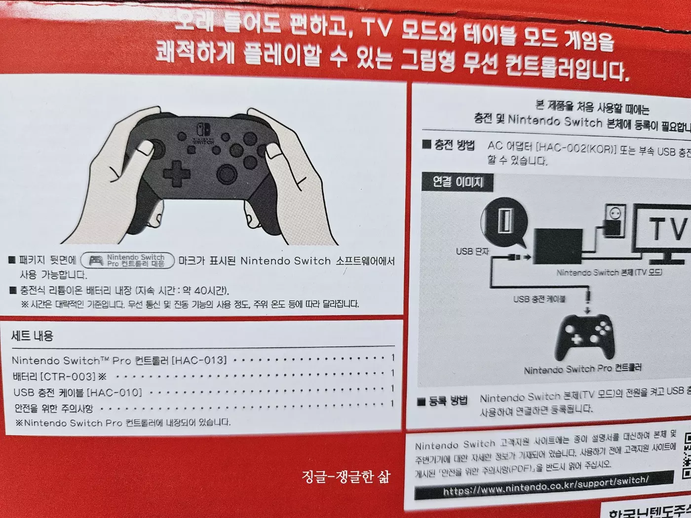 닌텐도 프로콘 사진