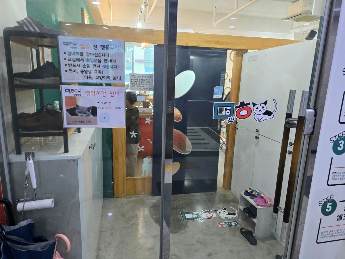 모할고양-입구