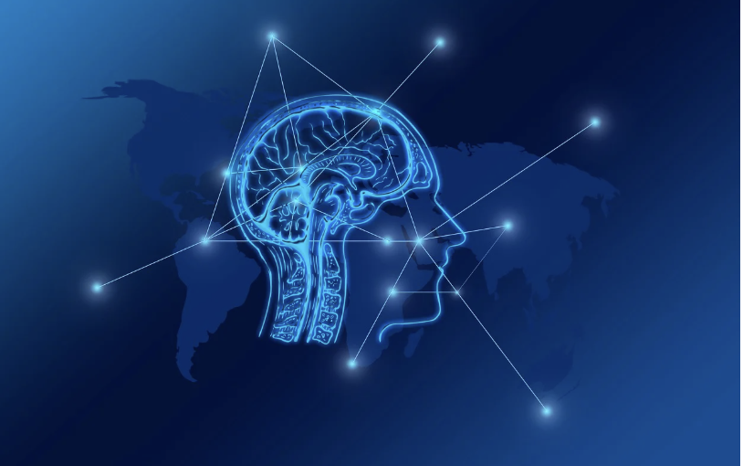 뇌는 고정된 장치가 아니다 &mdash; 뇌 가소성과 학습의 관계