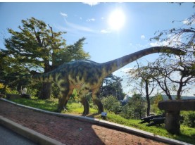 태안 추천 관광지 베스트10 관련 사진