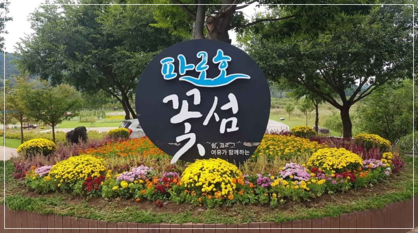 양구 가볼만한곳 베스트10 파로호 꽃섬