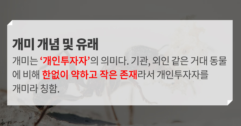 개미 털기