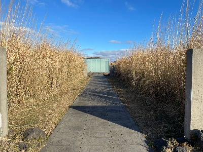 제주도의 물, 바람, 빛, 소리를 느껴보세요