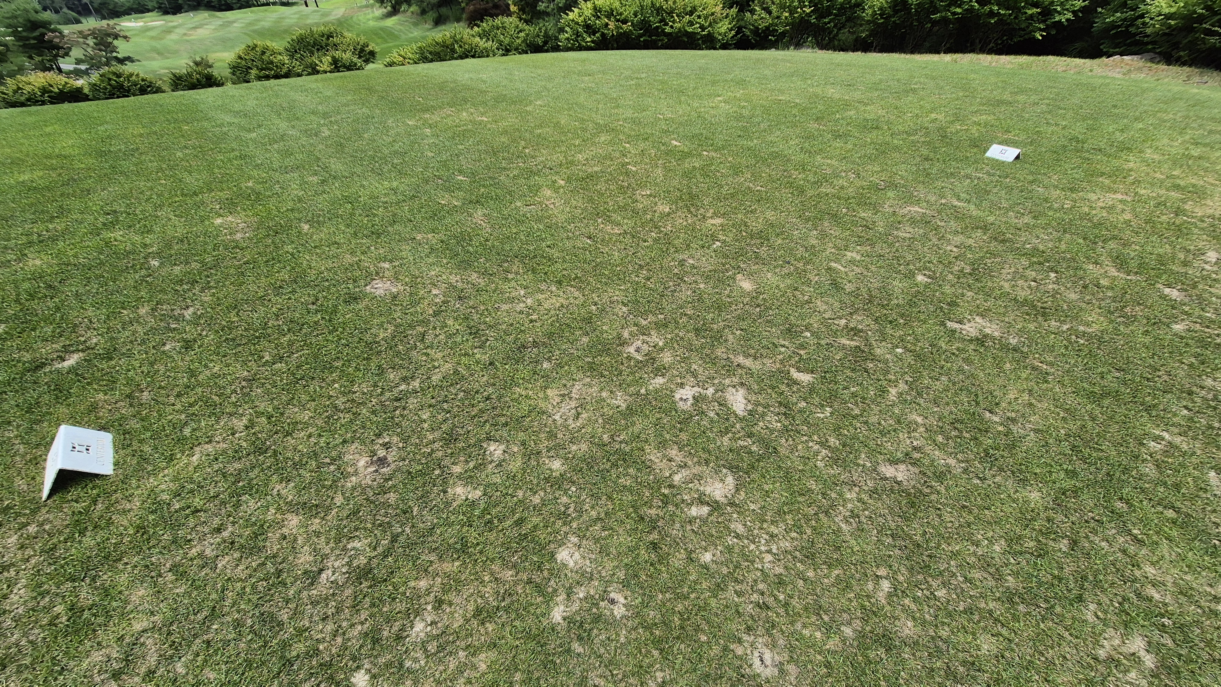 센테리움cc 스코틀랜드-웨일즈 코스 라운드 후기