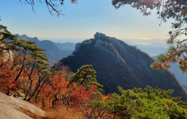 문경 봉암사와 함께 즐기는 희양산 단풍 🍂 2025 가을 여행지 추천