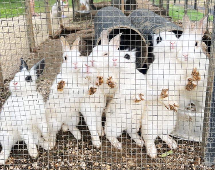 산들소리 수목원