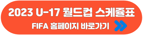 2023 U-17 월드컵