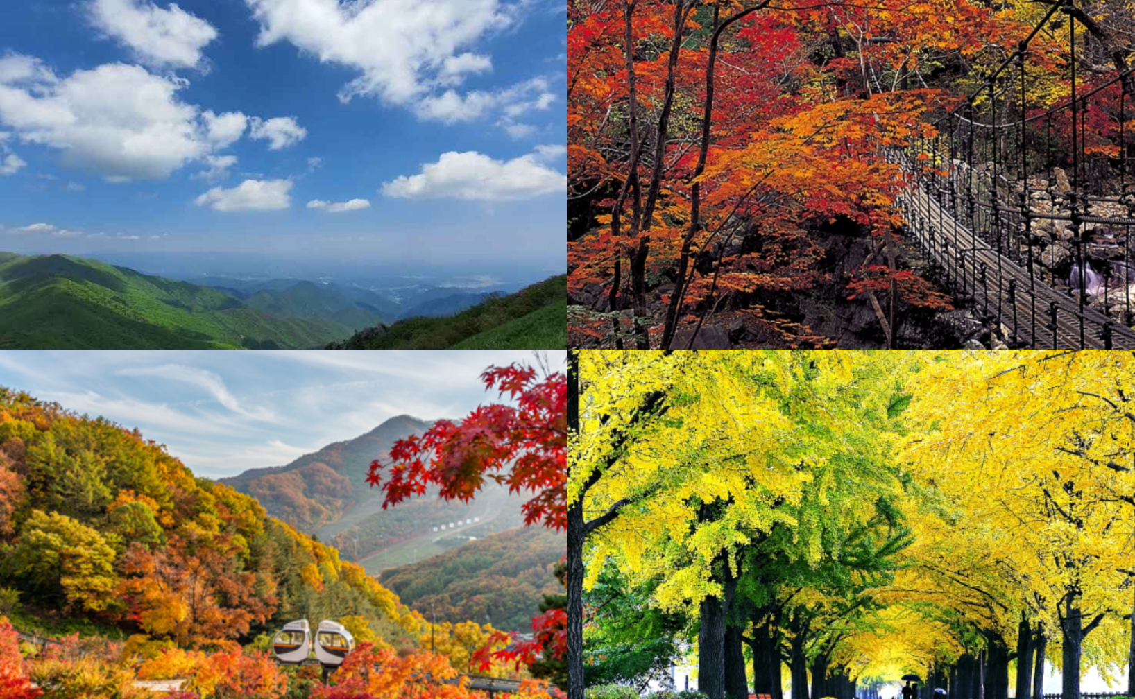 10월 여행지 베스트