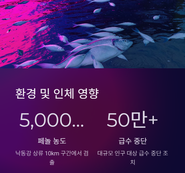 환경-및-인체-영향