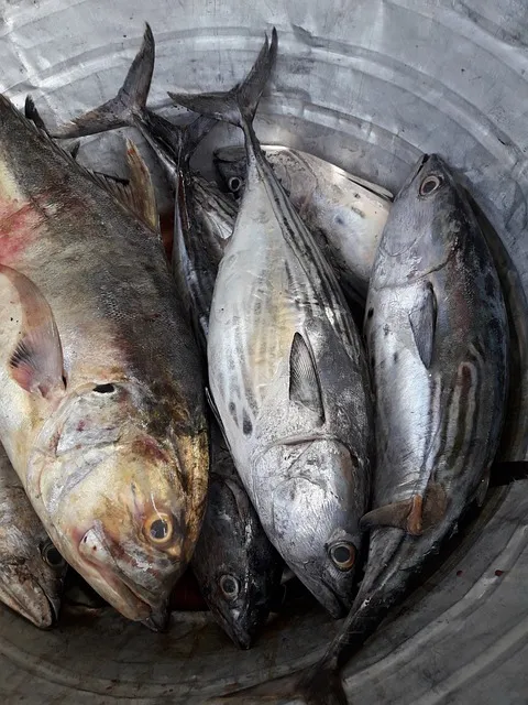 pix_민어찜 만드는법_10