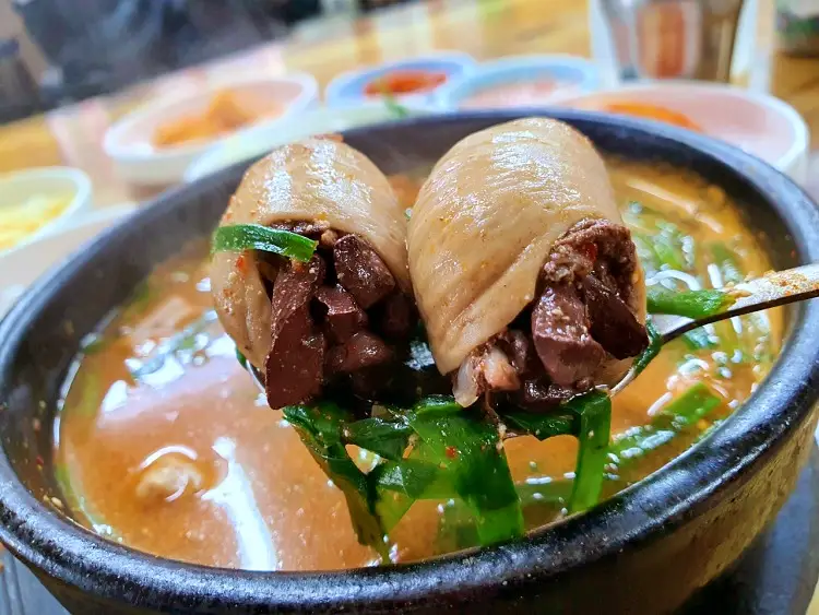 신계숙의 맛터싸이클 다이어리 가수 이상우 게스트 3대째 노포 순대국집 피순댓국, 고추장불고기 연잎밥상 순창 맛집과 가볼만한 곳 추천