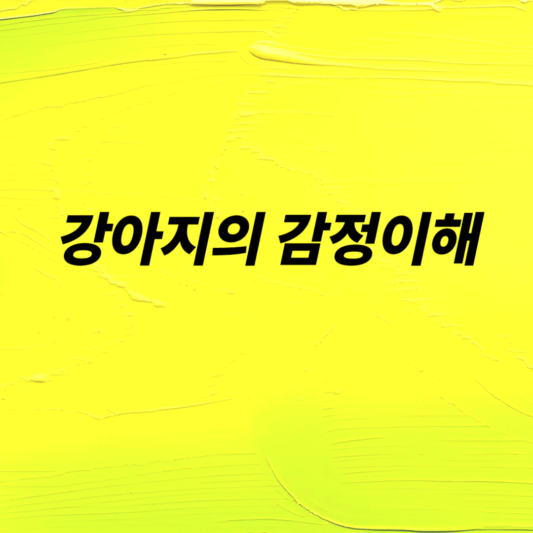 우리 집 강아지가 보내는 신호 해석하기 강아지 행동분석