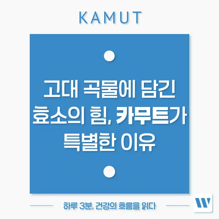 카무트 효소 효능, 먹는법