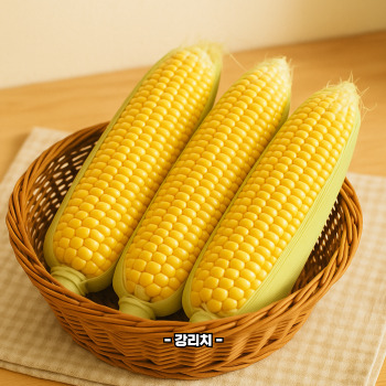 초당옥수수 효능