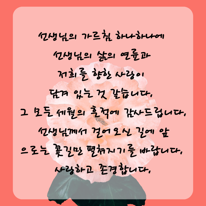 스승의날 인사말 감사 편지 문구 글귀 이미지