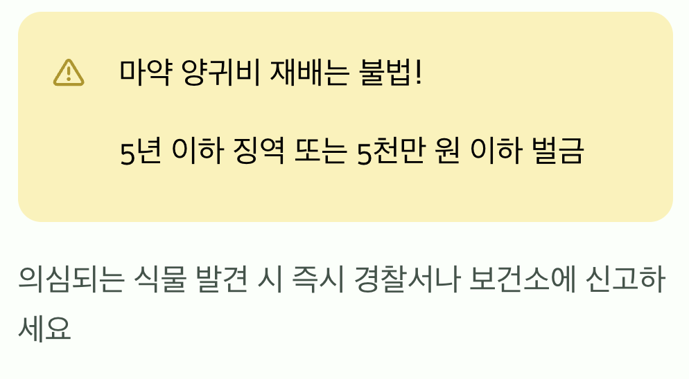 무심코 심은 한 포기, 큰 처벌 받을 수 있다