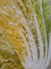 2023년 절임배추