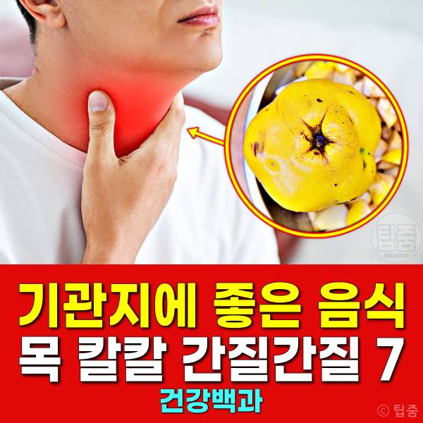 기관지에 좋은 음식 목 칼칼 목이 간질간질