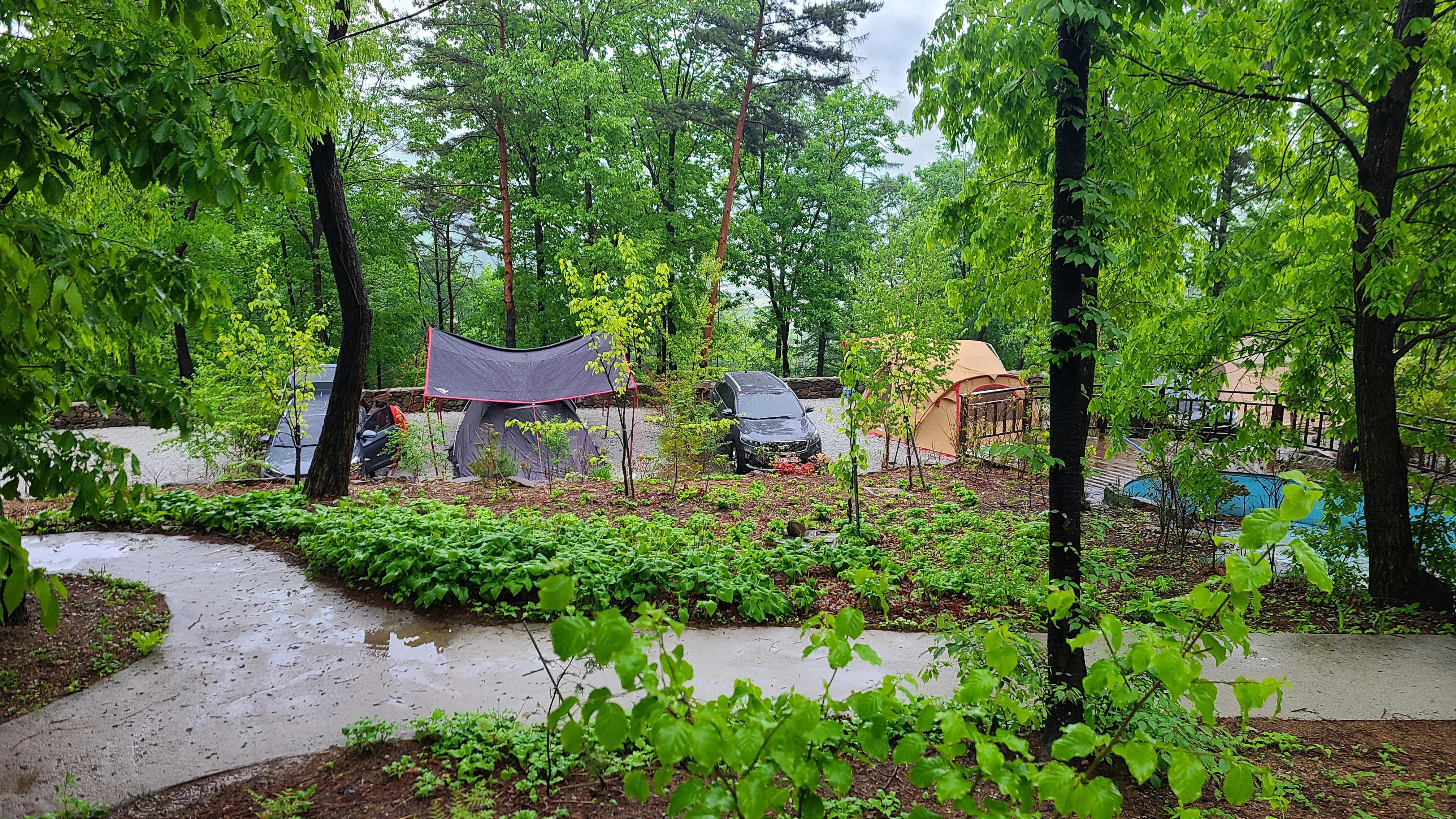 산중 숲속 오토캠핑장