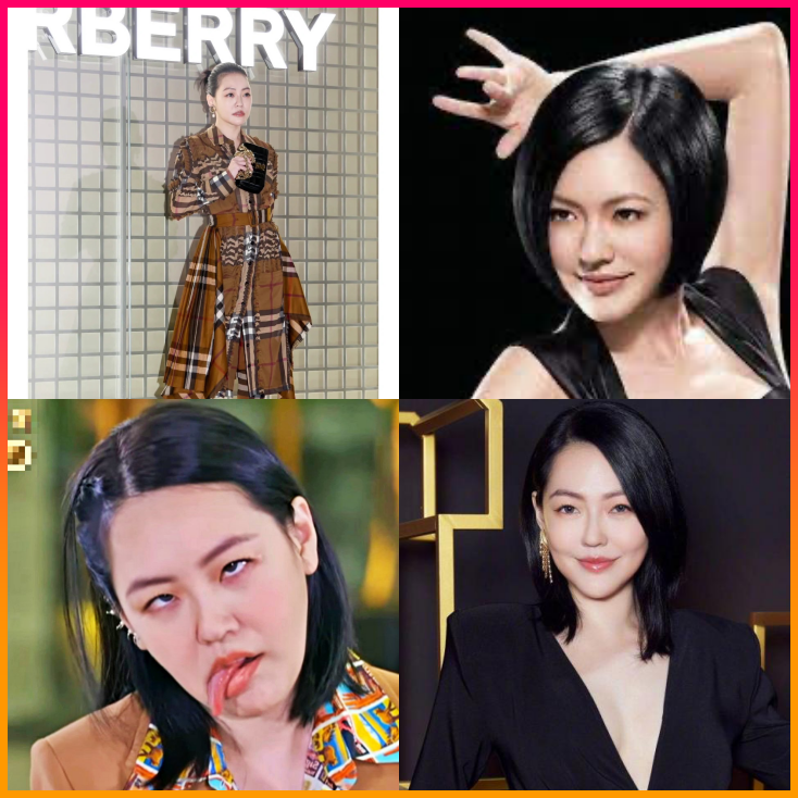 서희제