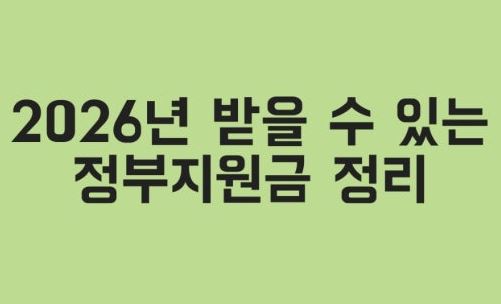 2026 정부지원금