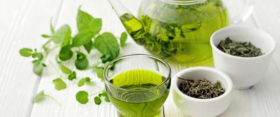 콜레스테롤 낮추는 음식 - 녹차