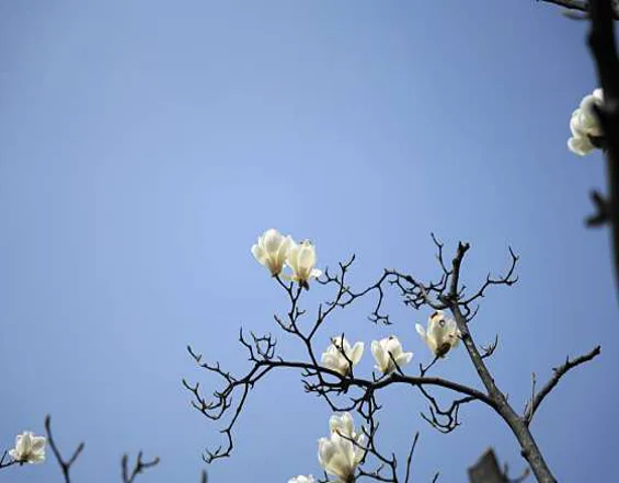 만골근린공원