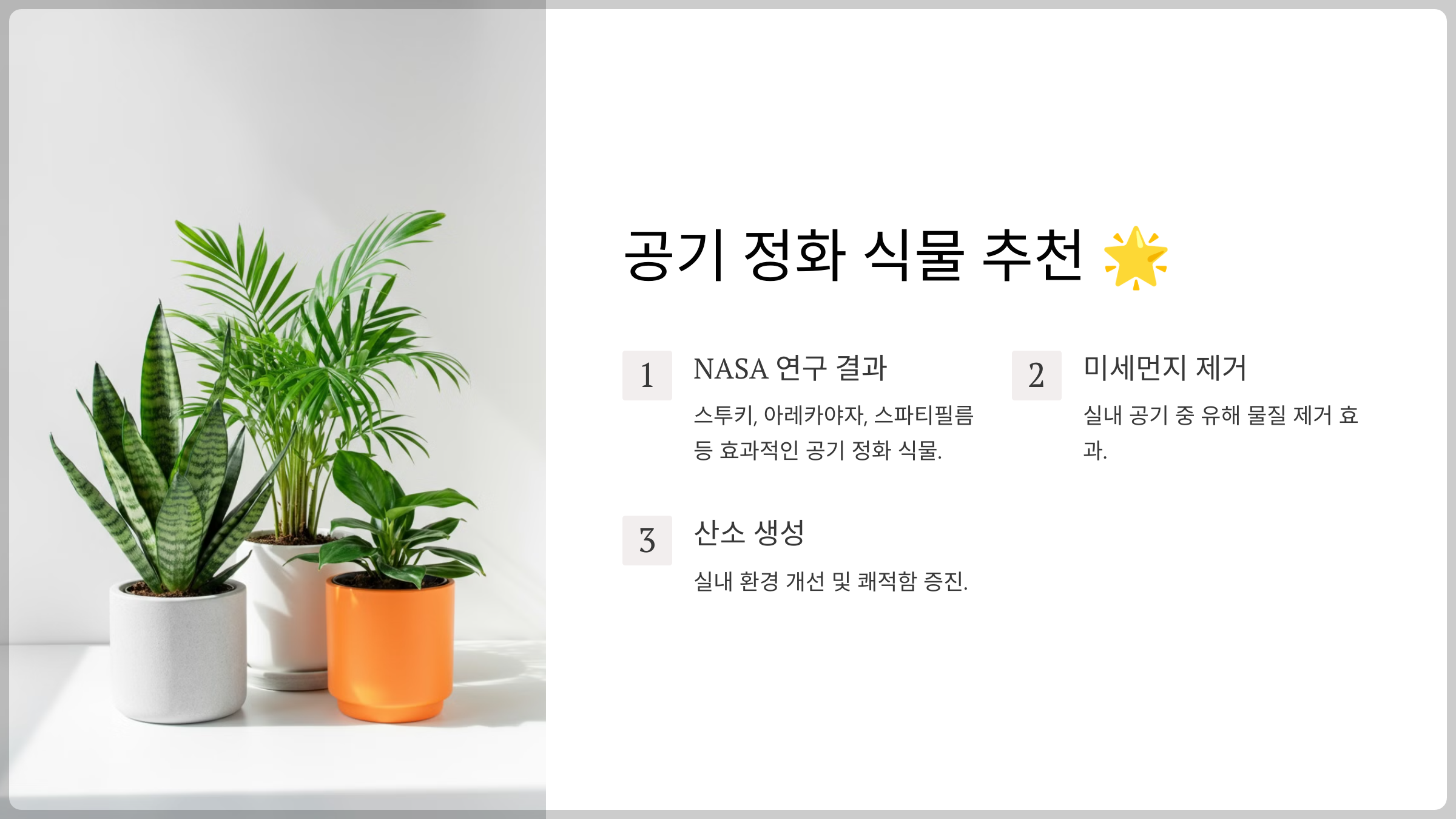 공기 정화 식물 추천