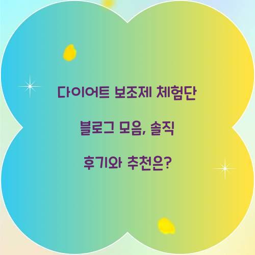 다이어트 보조제 체험단 블로그 모음