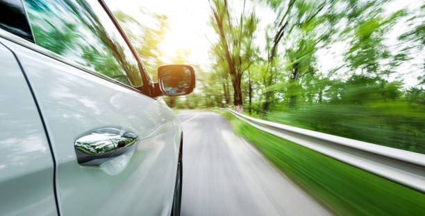 광복절-특사-명단-확인