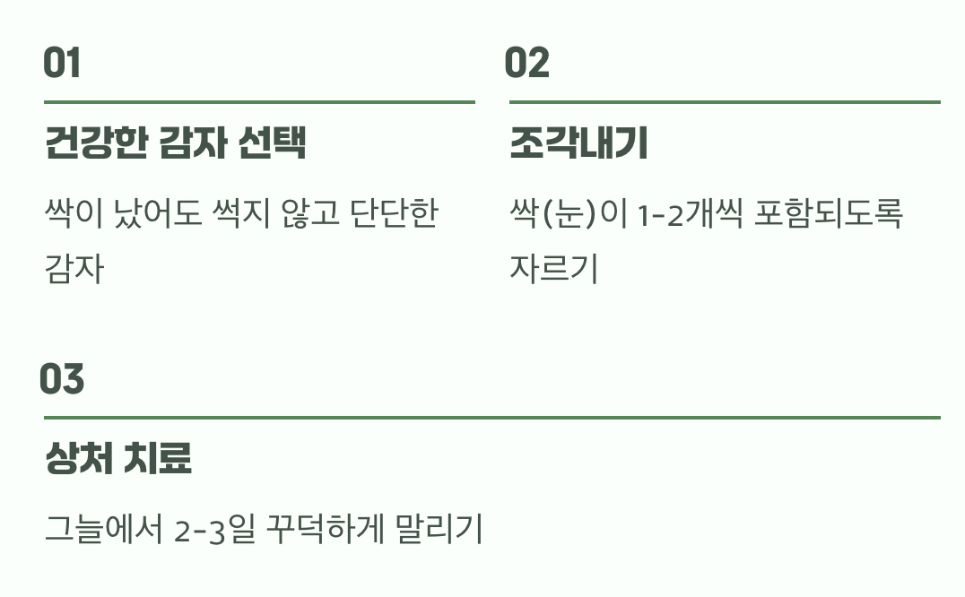 모든 것의 시작, 씨앗이 될 감자 고르기