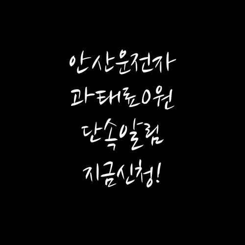 안산시 불법 주정차 단속 알림 문자 ..