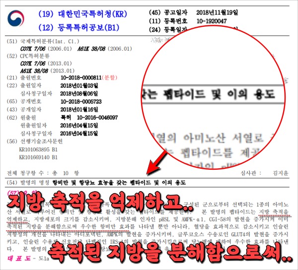 고구마 삶은 물 효능, 고구마 다이어트 방법 효과, 건강 팁줌 매일꿀정보