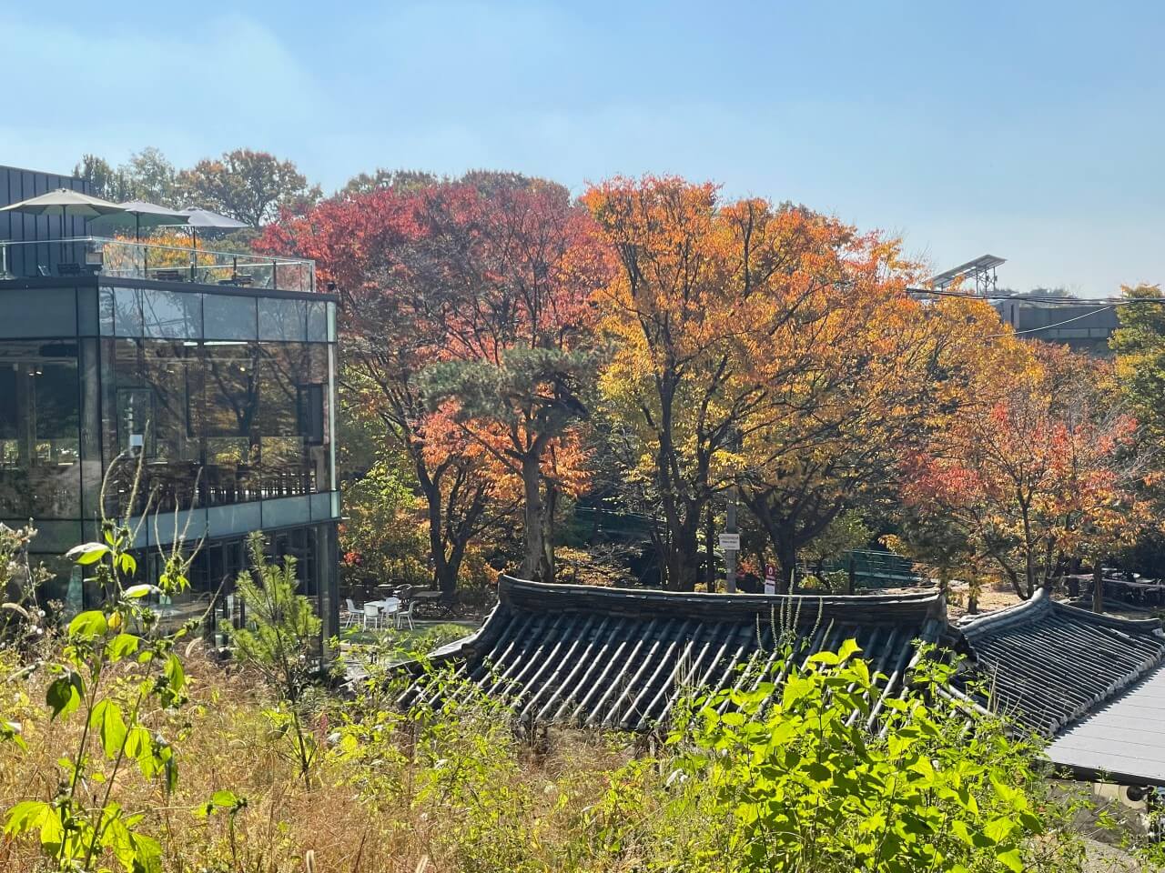 생생정보 핫 플레이스 Now 북한산 둘레길 10구간 북한산 놀면라면 카페 생생정보 2297회