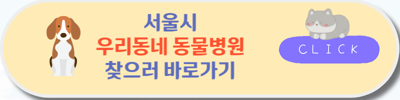 우리동네 동물병원