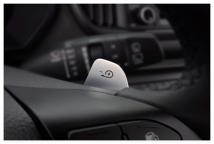 레이 전기차 보조금