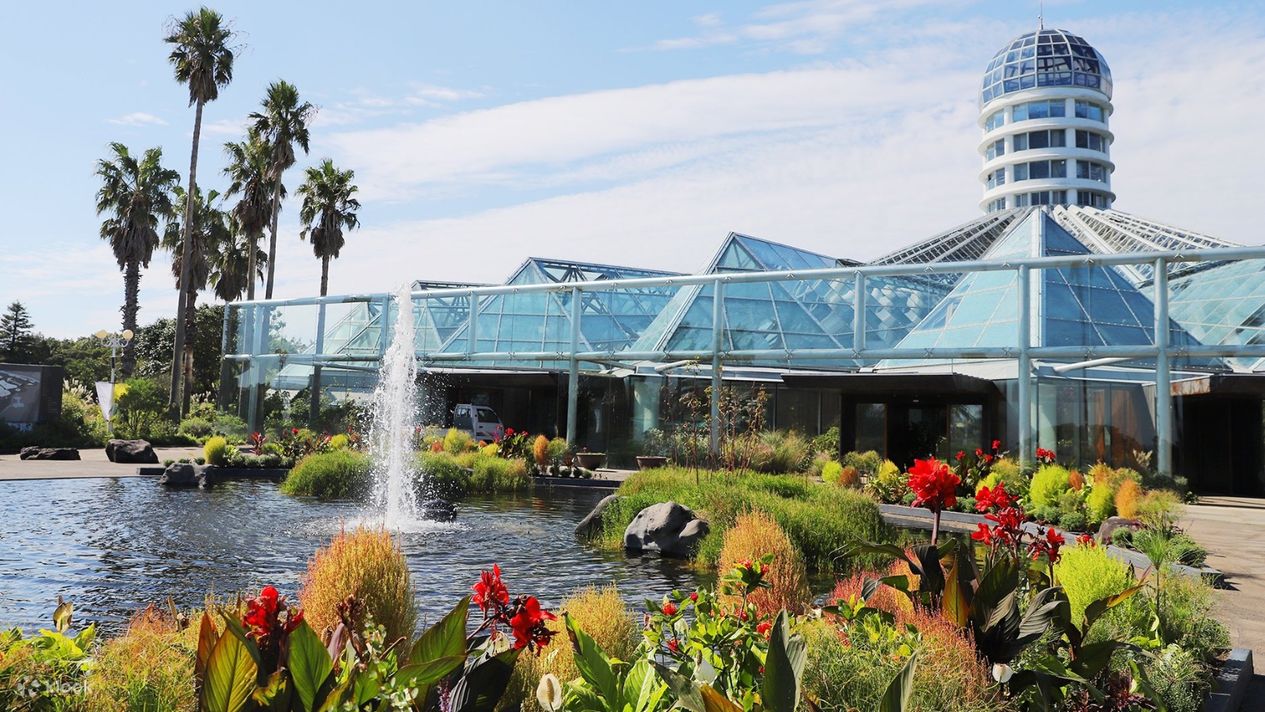 여미지식물원 관람 가이드 ❘ 이용 정보·관람 시간·방문 전 주의사항 총정리