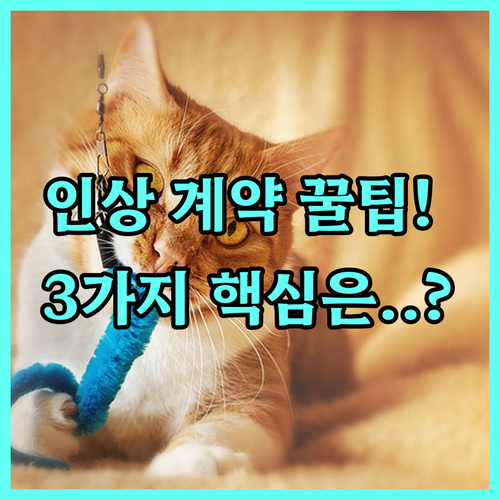 연봉 인상 전자계약의 법적 안정성 확..