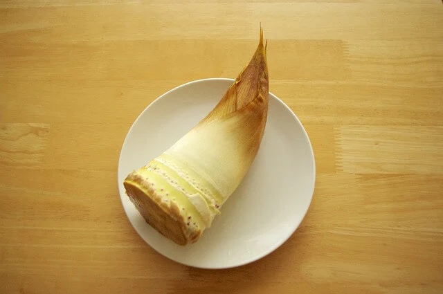 죽순 삷는 법 및 손질 법